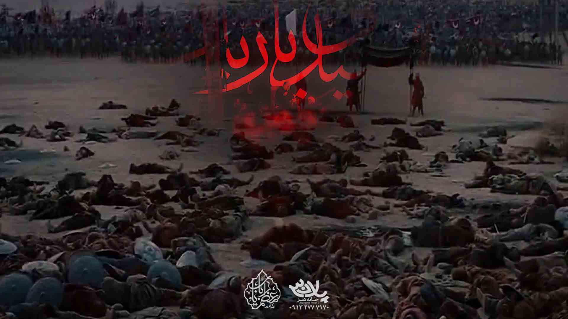 سرو برد نریمان پناهی