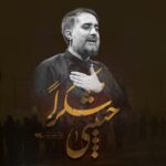 دانلود نماهنگ حبیبی شکرا محمدحسین پویانفر