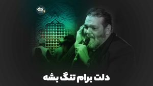 دلم میخواد برام دلت تنگ بشه حیدر خمسه
