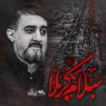نماهنگ سلام کربلا محمدحسین پویانفر