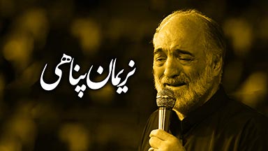 نریمان پناهی