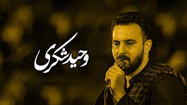 وحید شکری