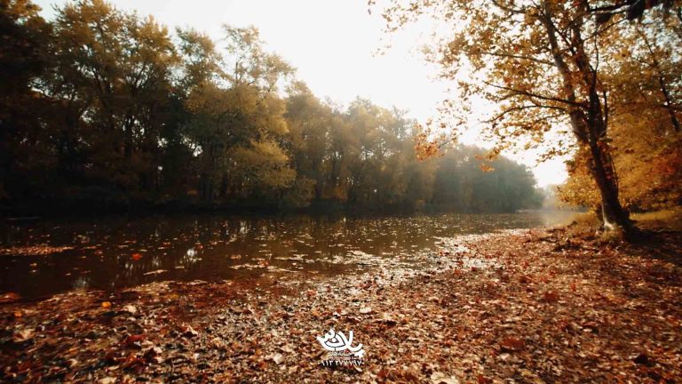 لطف امام زمان استاد پناهیان