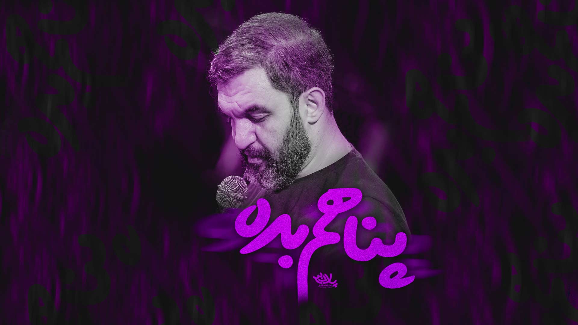 دانلود نماهنگ پناهم بده حمید علیمی