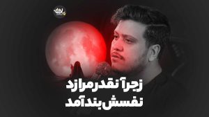 زجر آنقدر مرا زد نفسش بند آمد محمدرضا ناصری